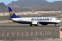 �Alfonso Sol�s - Asociaci�n Canary Islands Spotting. Click to see full size photo