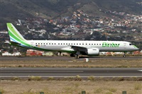 �Alfonso Sol�s - Asociaci�n Canary Islands Spotting. Click to see full size photo