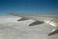 ©Marcin Glodzik. Click to see full size photo ©Marcin Glodzik. Click to see full size photo