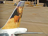 Melvin Pereira - Iberian Spotter. Click to see full size photo