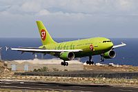 Javier de la Cruz - CANARY ISLANDS SPOTTING. Click to see full size photo