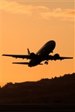 Javier de la Cruz - CANARY ISLANDS SPOTTING. Click to see full size photo