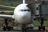 Chalo Canary Islands Spotting. Click to see full size photo