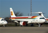 H.volar. Click to see full size photo