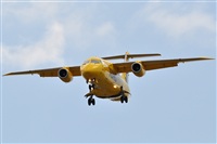 Manuel Noisy Spotters. Click to see full size photo