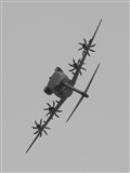 Ricardo Sanabria - AIRE.org. Click to see full size photo