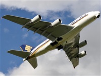 Rubn Gil - Noisy Spotters. Click to see full size photo