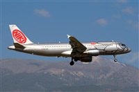 Javier de la Cruz - CANARY ISLANDS SPOTTING. Click to see full size photo