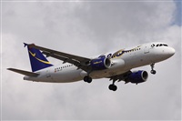 ©Alfonso Solís - Asociación Canary Islands Spotting. Click to see full size photo ©Alfonso Solís - Asociación Canary Islands Spotting. Click to see full size photo