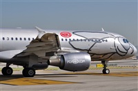 Rubn C.. Click to see full size photo