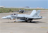 Alejandro H.L - Gran Canaria Spotters. Click to see full size photo