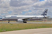 Miguel A. gueda Rguez.  (CANARY ISLANDS SPOTTING). Click to see full size photo