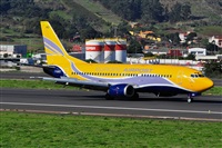 Miguel A. gueda Rguez.  (CANARY ISLANDS SPOTTING). Click to see full size photo