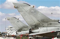 Carlos Zamora - La Mancha Spotters. Haz click para ampliar
