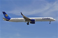 Miguel A. gueda Rguez.  (CANARY ISLANDS SPOTTING). Click to see full size photo