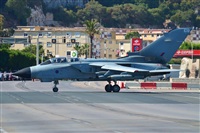 ©Salvador de la Rubia ( Marbella Spotters ). Click to see full size photo ©Salvador de la Rubia ( Marbella Spotters ). Click to see full size photo