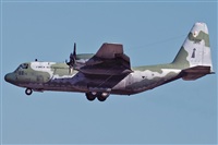 J. Victor Vega-Gran Canaria Spotters. Click to see full size photo