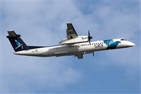 Adrin Alonso Lemes - Lanzarote Spotters. Click to see full size photo