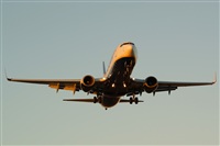 Saimon J Rodriguez   -   Canary Islands Spotting. Click to see full size photo