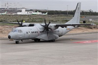 ©Alfonso Solís - Asociación Canary Islands Spotting. Click to see full size photo ©Alfonso Solís - Asociación Canary Islands Spotting. Click to see full size photo