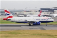 Miguel A. gueda Rguez.  (CANARY ISLANDS SPOTTING). Click to see full size photo