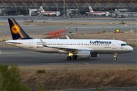 Adrin Alonso Lemes - Lanzarote Spotters. Click to see full size photo