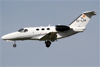 Rubn Gil - Noisy Spotters. Click to see full size photo