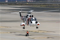 ©Adolfo Bento - Gran Canaria Spotters. Click to see full size photo ©Adolfo Bento - Gran Canaria Spotters. Click to see full size photo