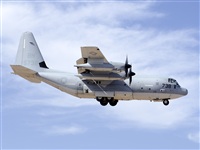 Paco Muoz Arencibia - Gran Canaria Spotters. Click to see full size photo