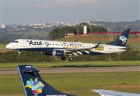 ©João Henrique. Click to see full size photo ©João Henrique. Click to see full size photo