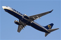 Saimon J Rodriguez   -   Canary Islands Spotting. Click to see full size photo