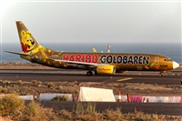 Javier de la Cruz - CANARY ISLANDS SPOTTING. Click to see full size photo