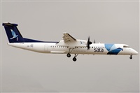 Paco Muoz Arencibia - Gran Canaria Spotters. Click to see full size photo