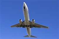 Saimon J Rodriguez   -   Canary Islands Spotting. Click to see full size photo
