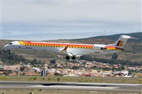 Ayoze Santana Mendez - Canary Islands Spotting. Click to see full size photo