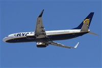 Alfonso Sols - Asociacin Canary Islands Spotting. Haz click para ampliar
