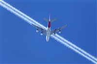 Miguel Alia - Noisy Spotters. Click to see full size photo