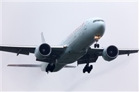 Miguel Alia - Noisy Spotters. Click to see full size photo