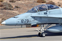 J. Victor Vega-Gran Canaria Spotters. Click to see full size photo