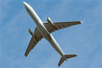 Miguel Martin Cordeiro - Iberian Spotters. Click to see full size photo