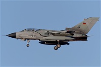 Fco Javier Garca Ruiz. Click to see full size photo
