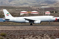 Javier de la Cruz - CANARY ISLANDS SPOTTING. Click to see full size photo