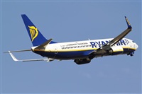 Nacho Rodriguez - Canary Islands Spotting. Click to see full size photo