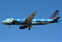 ©Alejandro H.L - Gran Canaria Spotters. Click to see full size photo ©Alejandro H.L - Gran Canaria Spotters. Click to see full size photo