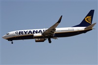 Alfonso Sols - Asociacin Canary Islands Spotting. Haz click para ampliar