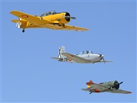 EC-ISM. Click to see full size photo