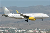 ©Adolfo Bento - Gran Canaria Spotters. Click to see full size photo ©Adolfo Bento - Gran Canaria Spotters. Click to see full size photo