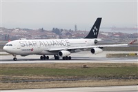 Rubn Gil - Noisy Spotters. Click to see full size photo