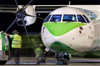 Javier de la Cruz - CANARY ISLANDS SPOTTING. Click to see full size photo