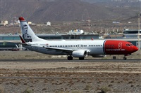 ©Alfonso Solís - Asociación Canary Islands Spotting. Click to see full size photo ©Alfonso Solís - Asociación Canary Islands Spotting. Click to see full size photo